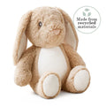 Brown Bunny