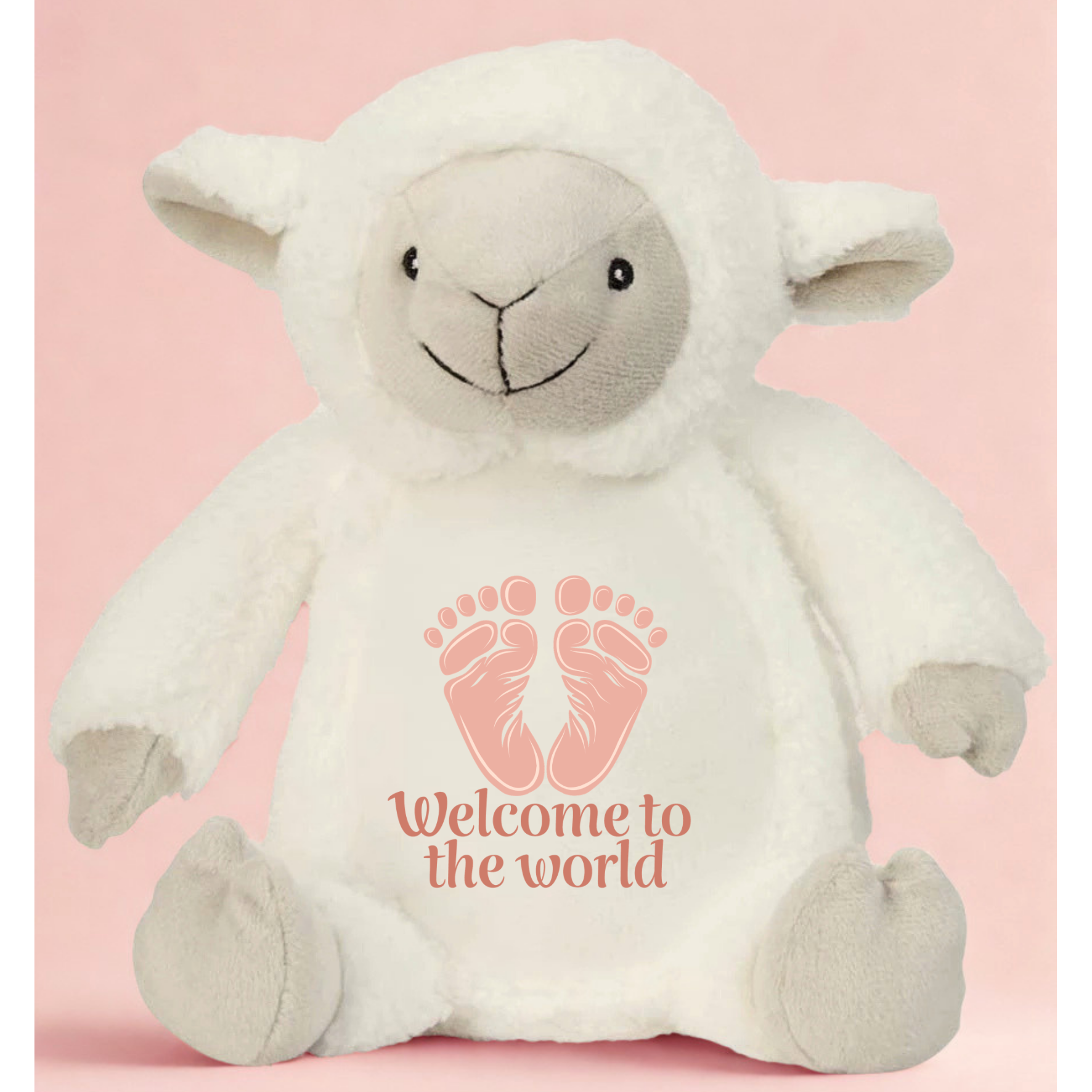 Welcome to the World Mumbles Teddy – Ready Made